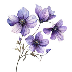 Watercolor purple flower illustration isolated on transparent background
