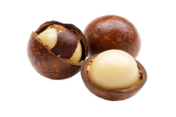 Macadamia Nuts Delicious, Healthy, and Versatile