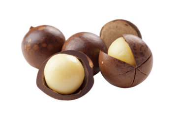 Macadamia Nuts Delicious, Nutritious, and Versatile Superfood