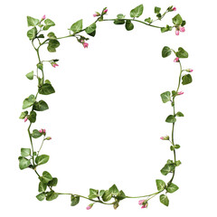 Fototapeta premium Floral frame with ivy and blossoms isolated on transparent background