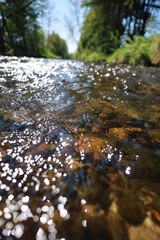 The water is clear and calm, with a few rocks scattered throughout