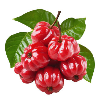 Pile of red pitanga fruit cutout