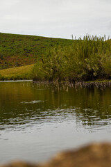 Chimney Pool (Belihul Oya River) in Horton Plains National Park, Sri Lanka.