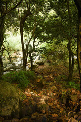 Uma Oya River, Bomburu Ella Waterfall, Galpalama, Nuwara Eliya, Sri Lanka.