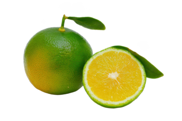 Fresh Green Oranges Juicy Citrus Fruit, Healthy Vitamin C