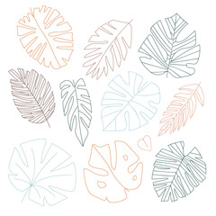 The colored collection of hand-drawn tropical leaves, each with intricate details and unique shapes. Fo patterns, postcards, invintation.