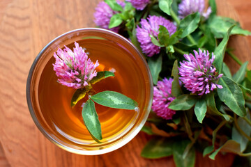 Herbal tea with red clover in glass cup on wooden table