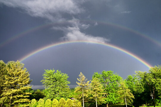 Double Rainbow over trees