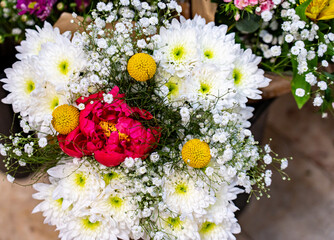 Intimate view of a red peony with detailed petals, yellow stamens and a lush green background, exuding natural charm