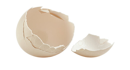 Isolated Cracked Eggshell Fragments with Interior Detail