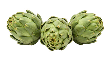 Isolated Three Fresh Green Artichokes
