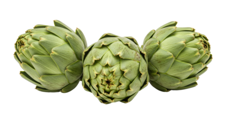 Isolated Three Fresh Green Artichokes