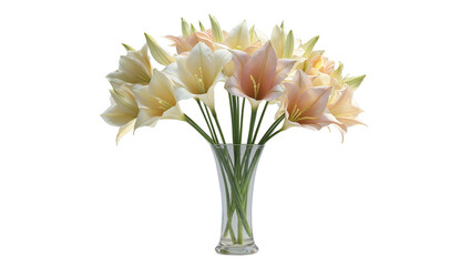 Flower Petals In White And Pink Arrangement