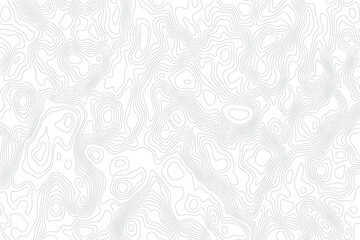 Obraz premium light gray topographic map with contour wave lines. abstract representation of elevation and terrain variations. detailed seamless pattern for white backgrounds