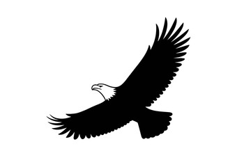 Flying bald eagle silhouette vector image graphic