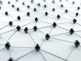Abstract network of interconnected nodes.  Densely packed black spheres connected by thin lines creating a complex web pattern against a light background