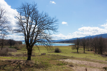 Wonderful scenery around the artificial Plastira lake, Karditsa, Greece