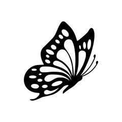 black and white butterfly