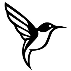 black and white bird