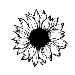 Fototapeta premium black and white flower