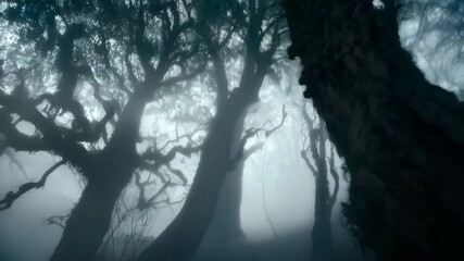 Gloomy forest landscape with thick fog obscuring trees, creating a mysterious and ethereal atmosphere on a somber day