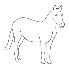 Horse Outline Thin Illustration