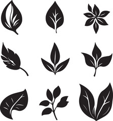 Black and White Leaf Vector Art: Botanical Illustration Set
