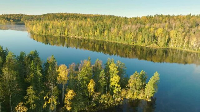 High-resolution aerial drone view of Lake Andronino in Karelia, Russia, highlighting the vast boreal forest and pristine waters during autumn season.