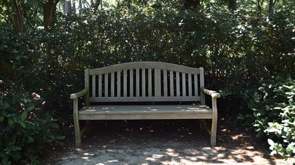 Serene Wooden Park Bench in Lush Greenery