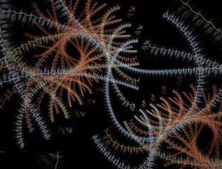 Imaginatory fractal abstract background Image