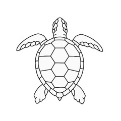 Obraz premium Line drawing of a sea turtle viewed from above. The turtle features a patterned shell, flippers and head detail. Simple and minimalist design.
