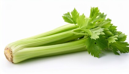 fresh celery isolated on white background