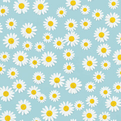 Daisy pattern on light blue. The white and yellow flowers are scattered across the image. Floral design with a fresh and spring-like feel.