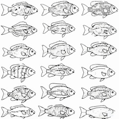Pattern of 15 hand-drawn fish with unique designs and details. Black and white cartoon illustration.