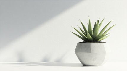 Geometric potted succulent minimalist home decor