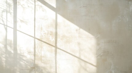 Sunlight shadow on textured wall window frame plant silhouette