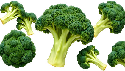 Fresh green broccoli perfectly isolated on a clean white background in high-quality PNG format, simple style. with white shades