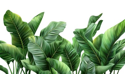 set fresh green leaf wallpaper template plain background abstract plant leaves Generate AI