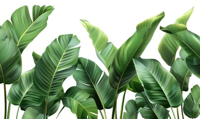 set fresh green leaf wallpaper template plain background abstract plant leaves Generate AI