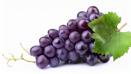 Fototapeta premium fresh juicy dark purple grape cluster with green leaf isolated on white background