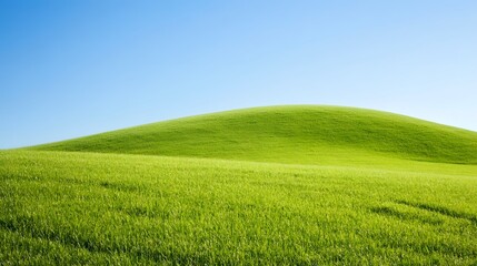 Fototapeta premium Serene Green Hill Landscape under Blue Sky, Nature Scenery, Grassy Field, Rolling Hills, Peaceful Meadow