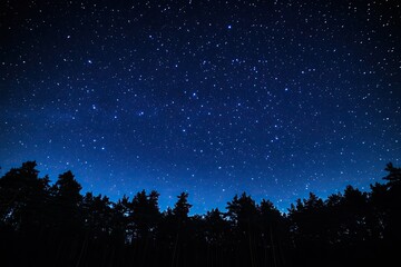 Night sky filled with stars over dark forest
