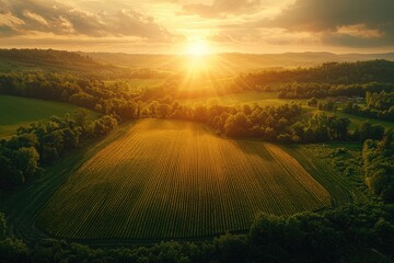 Obraz premium Expansive rural landscape at golden sunset.