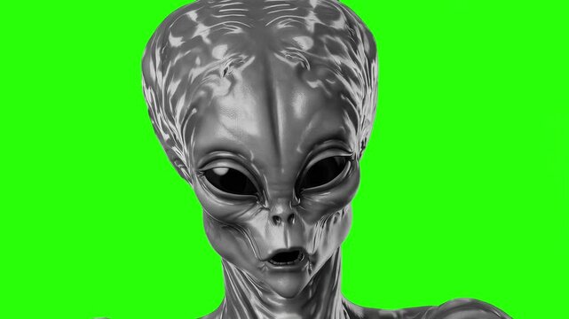 Looping Talking Alien Head Animation &ndash;Grey Extraterrestrial Creature on Green Screen Chroma Key for Sci-Fi, UFO, and Futuristic Videos