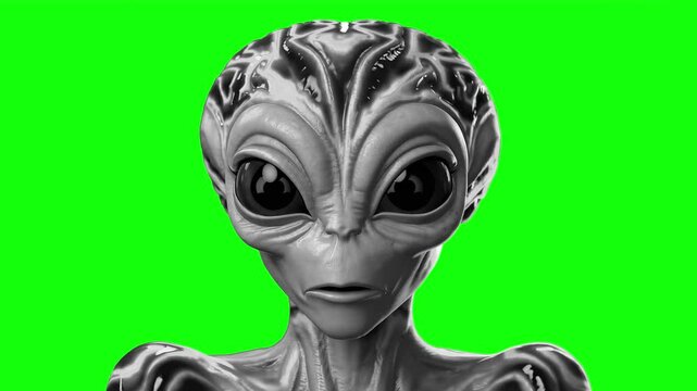 Looping Talking Alien Head Animation &ndash;Grey Extraterrestrial Creature on Green Screen Chroma Key for Sci-Fi, UFO, and Futuristic Videos
