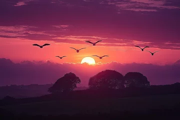Gardinen Vivid sunset over a landscape with birds in flight. © Rena