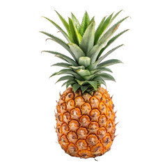 Fresh Pineapple Fruit Isolated on Transparent Background