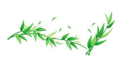 Obraz premium green leaves