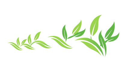 Obraz premium green leaves