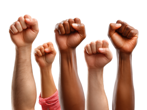 Unity in Strength: A powerful display of solidarity featuring a collection of clenched fists raised in unified action, symbolizing determination, resilience.